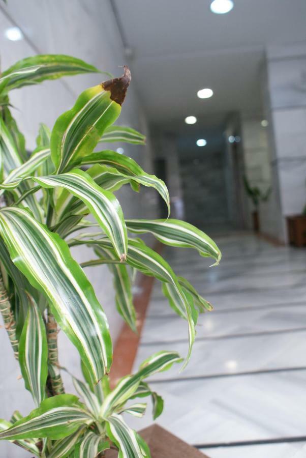 Calma Chicha Apartment Malaga Bagian luar foto